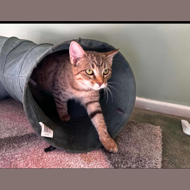 Photo of Ethel
