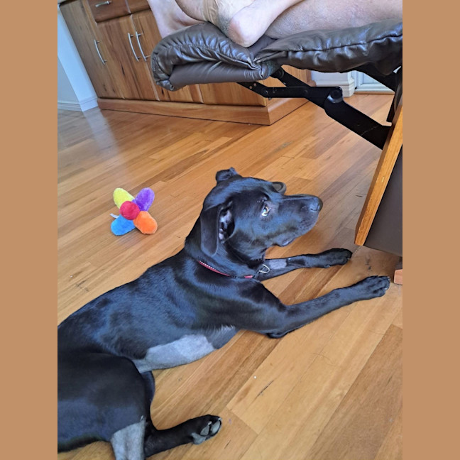 Photo of Zara