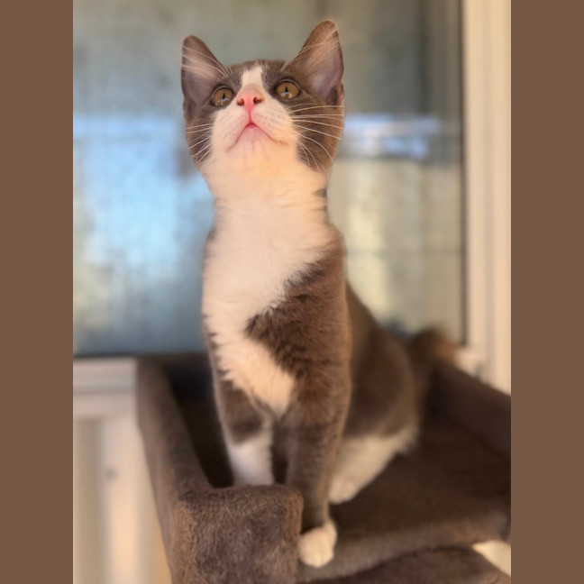 Photo of Princess Peach