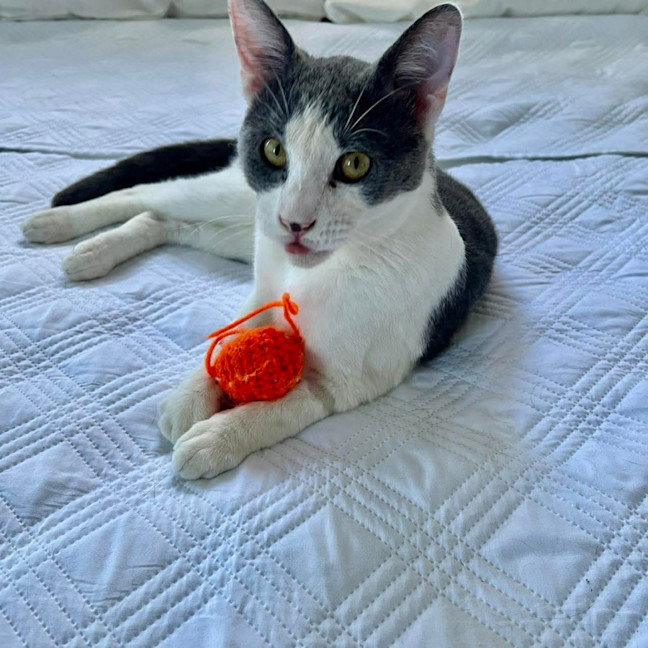 Photo of Sam