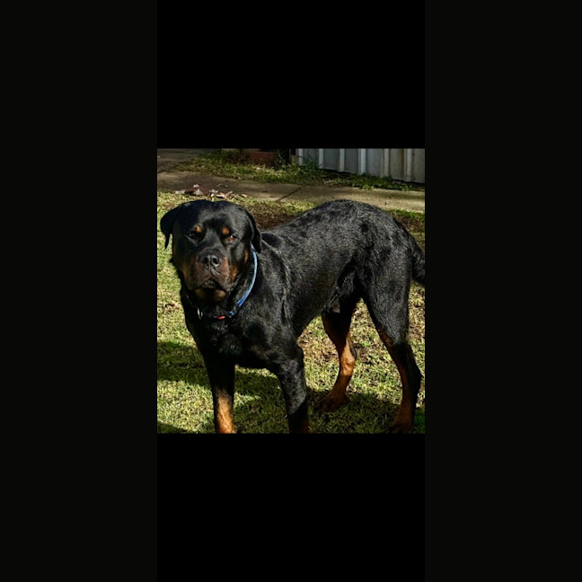 Photo of Duke