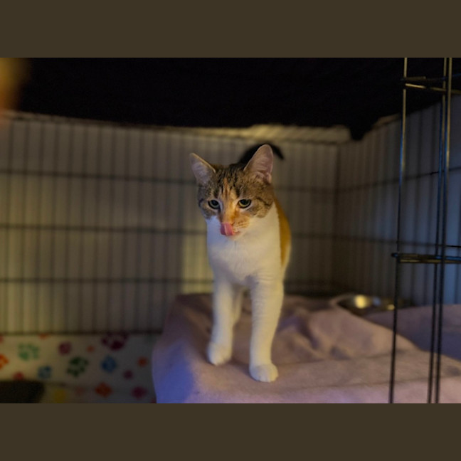 Photo of Laynee 🌺