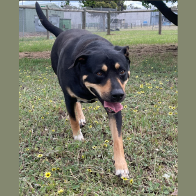 Photo of Lucy