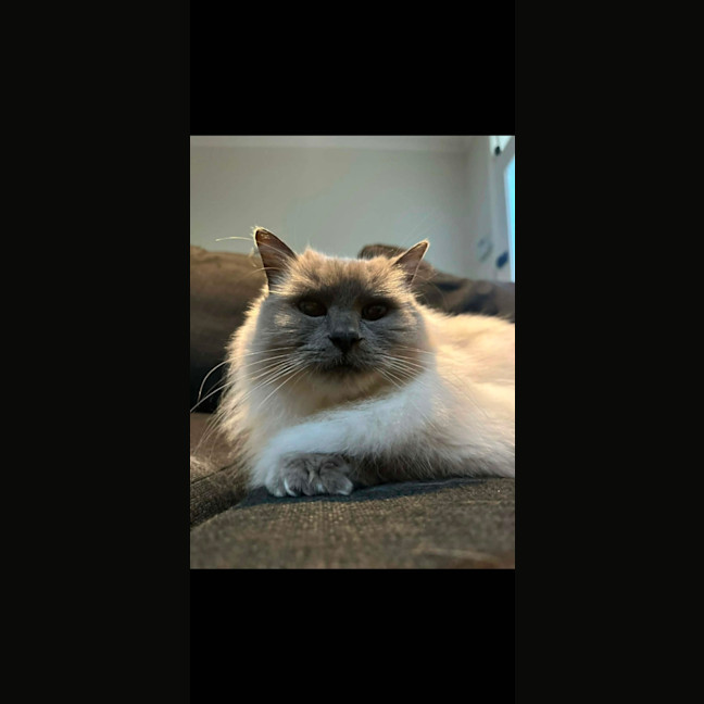 Photo of Missy 