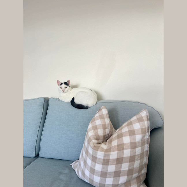 Photo of Lilly