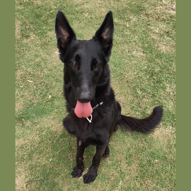 Photo of Nyla