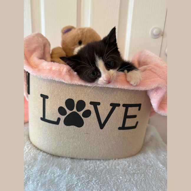 Photo of Addy 🌸🌸