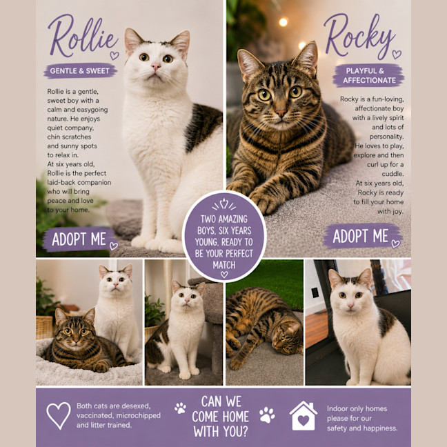 Photo of Rollie & Rocky 