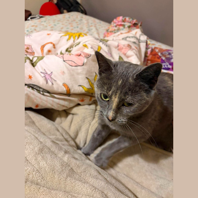 Photo of Luna