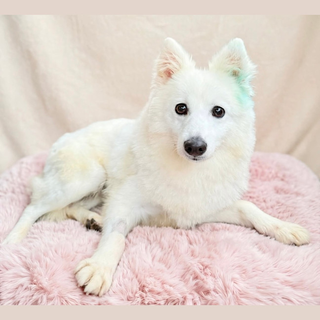 Photo of Nancy