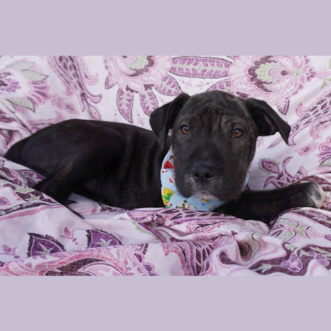 Photo of Nellie