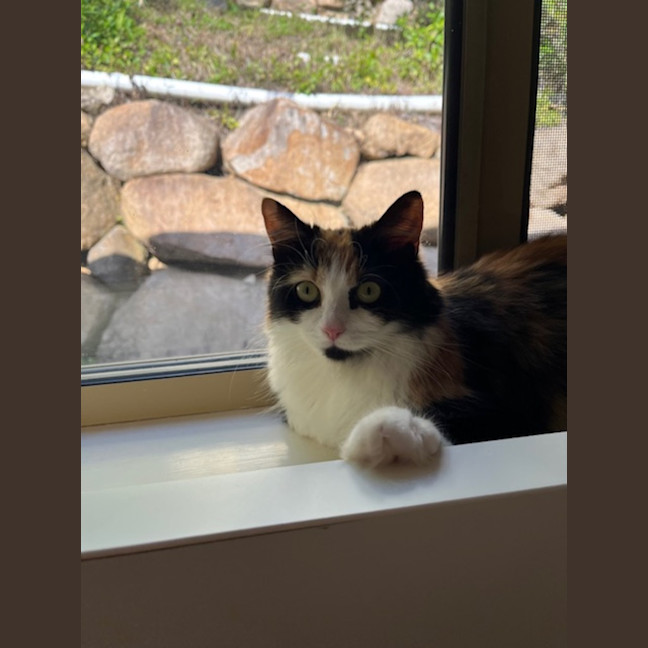 Photo of Edie