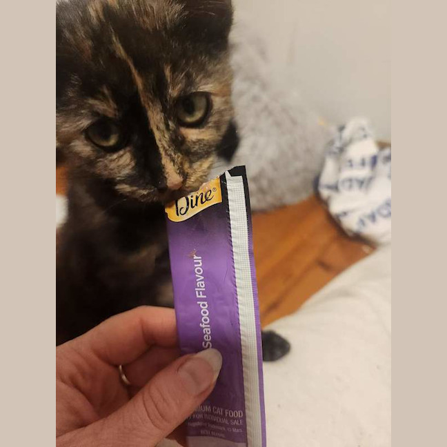 Photo of Maeve