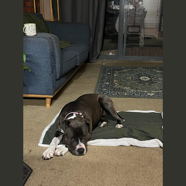 Photo of Mahlee