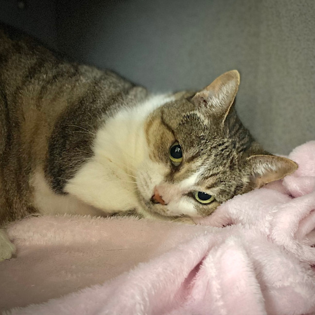 Photo of Maude