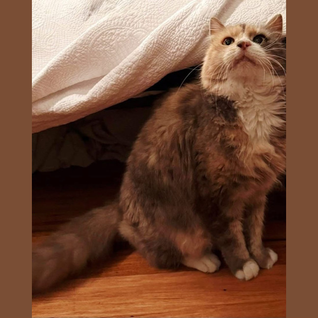 Photo of Millie