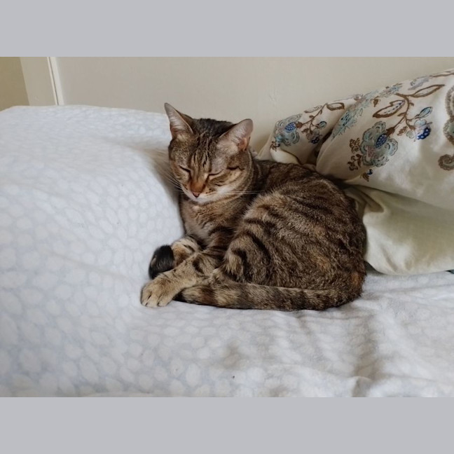 Photo of Lucy