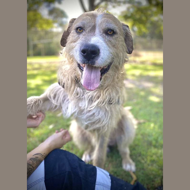 Photo of Tucker
