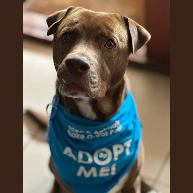 Photo of Wally