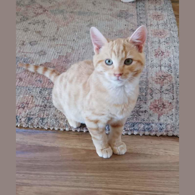 Photo of Lenny