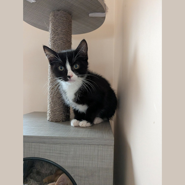 Photo of Nigel