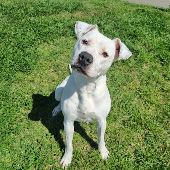 Photo of Lucy Goosey 
