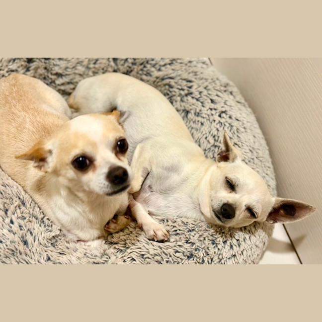 Photo of Mickey & Minnie