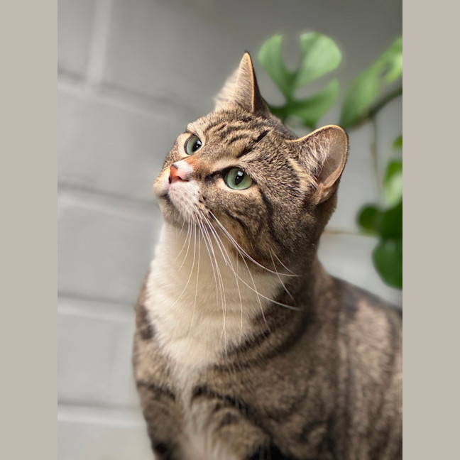 Photo of Alice