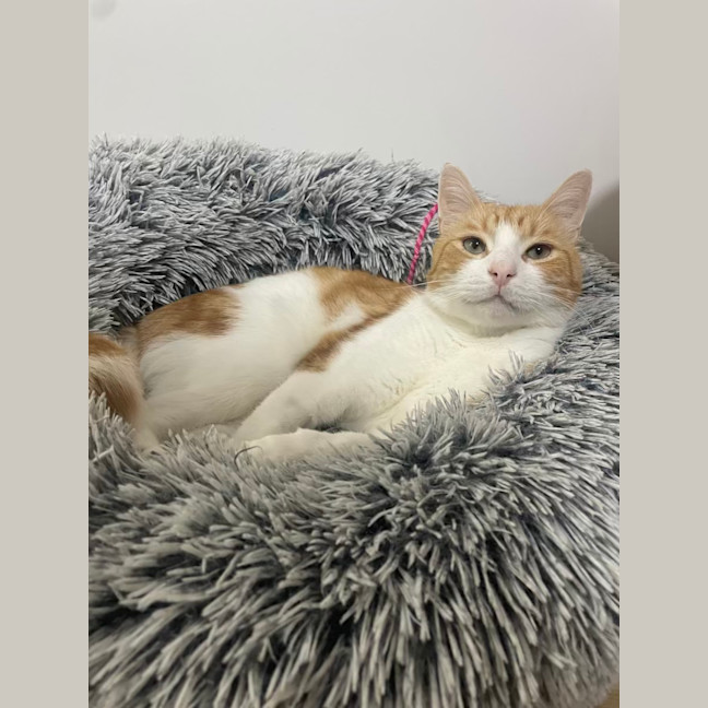 Photo of Fred
