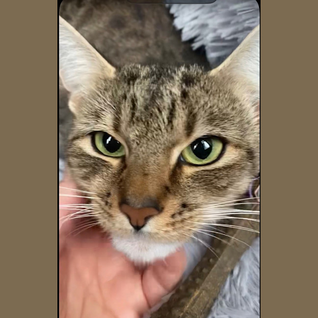 Photo of Maggie