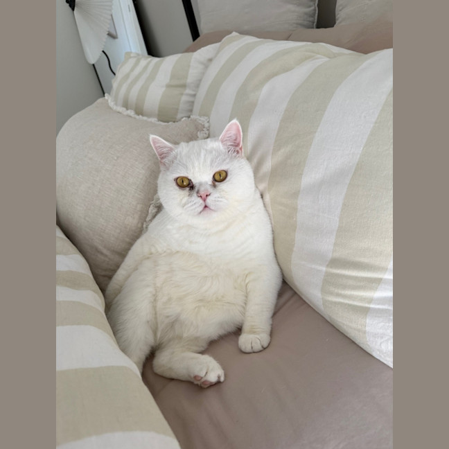 Photo of Yuki