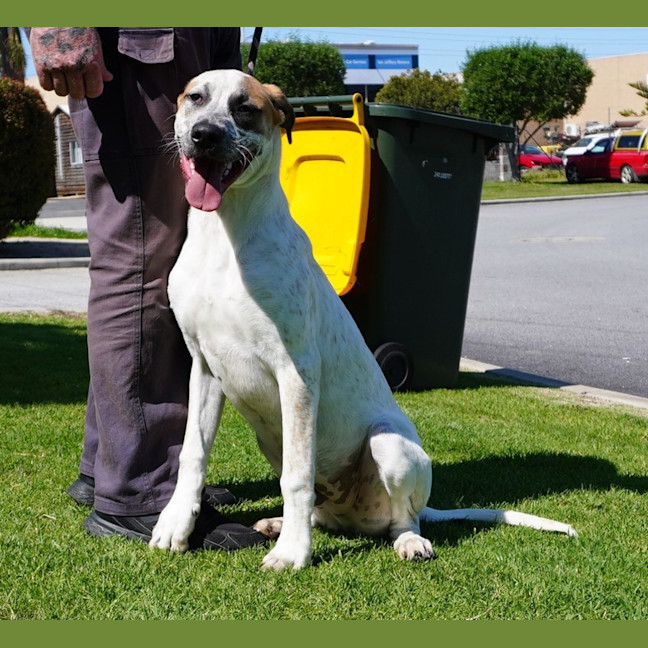 Photo of Ricky Bobby