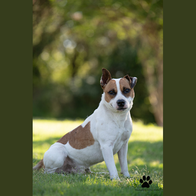Photo of Monty