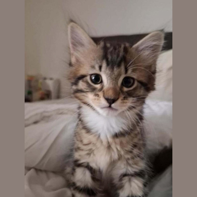 Photo of Steve