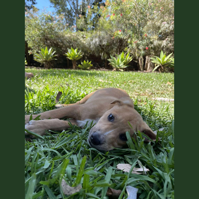 Photo of Charlie