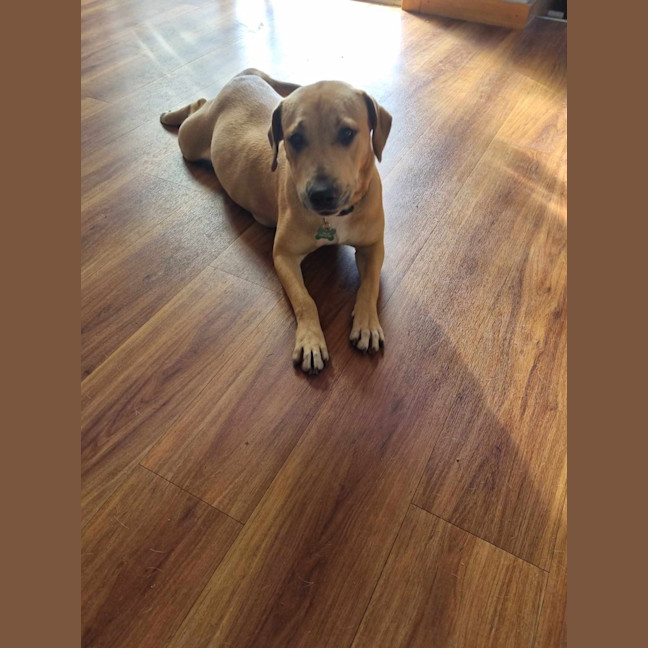 Photo of Nellie