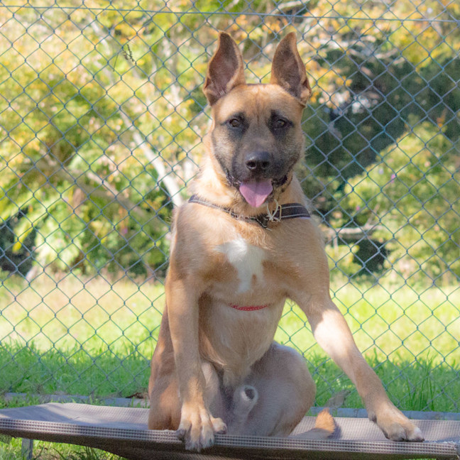 Photo of Scrap
