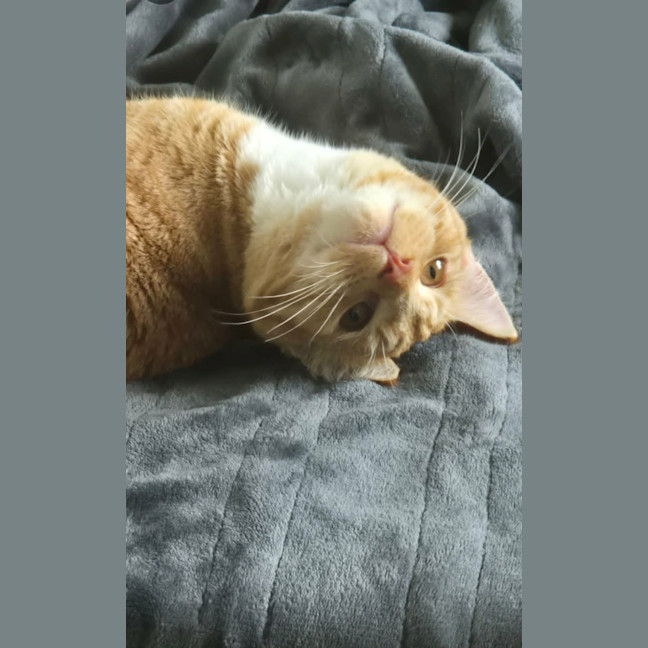 Photo of Robby