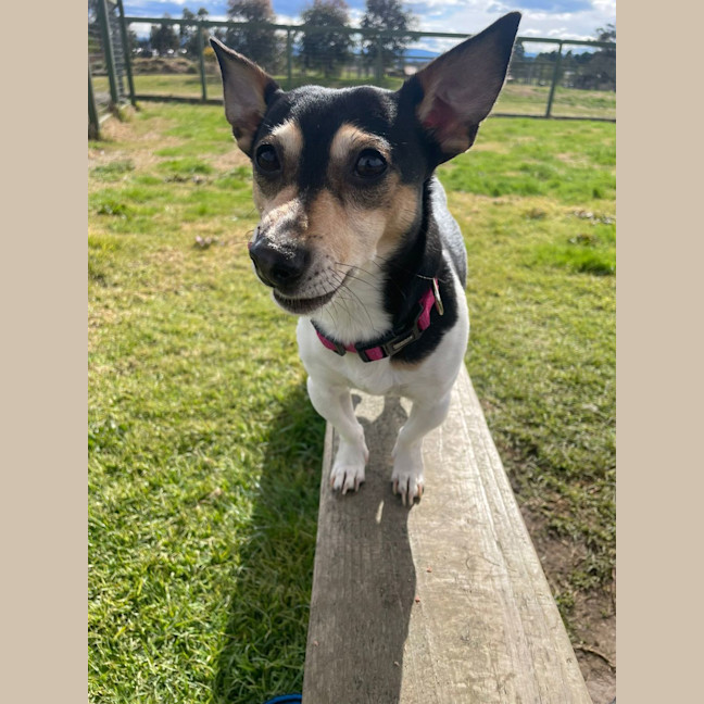 Photo of Alfie Watson