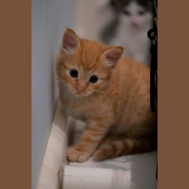Photo of 😺 Garfield 😺