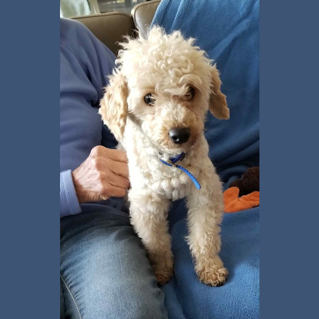 Photo of Reggie