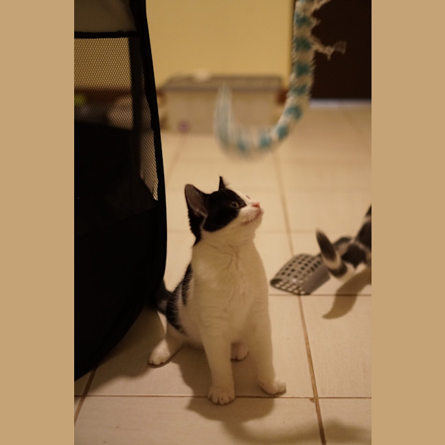 Photo of Moo Moo
