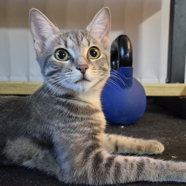 Photo of Lara