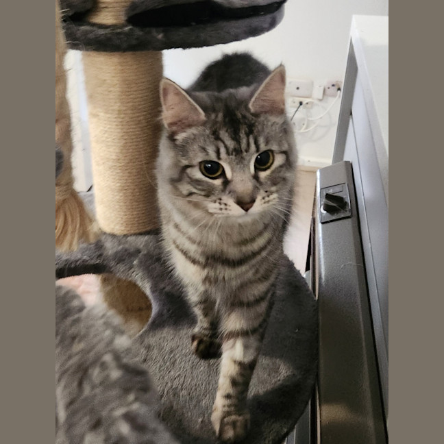 Photo of Sylvia