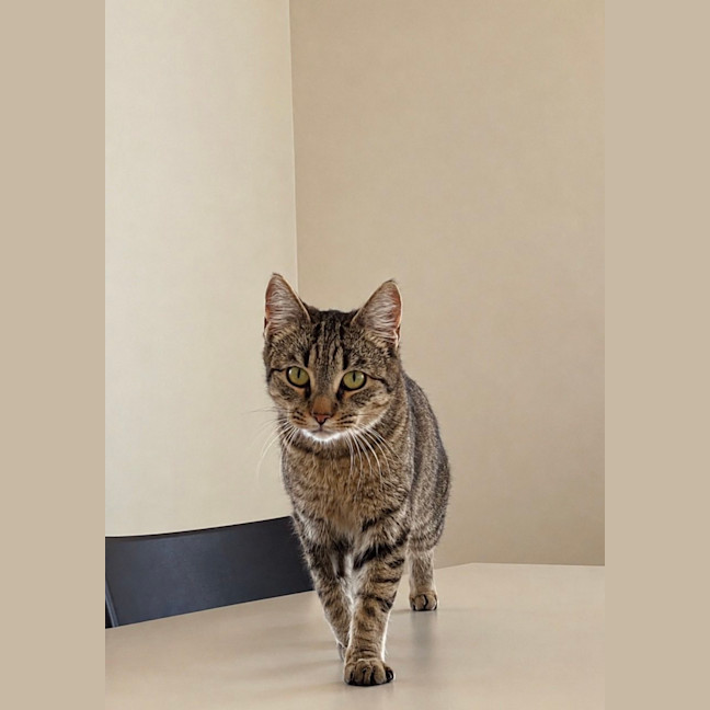 Photo of Mabel