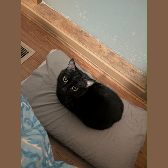 Photo of Ms Milo