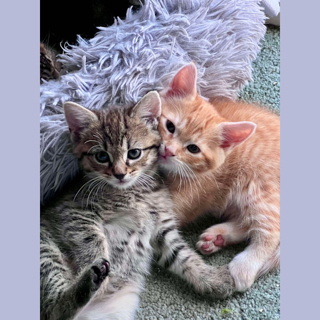 Photo of Navia & Rayne 