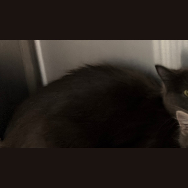 Photo of Mai Asha