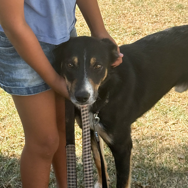 Photo of Devlin The Legend