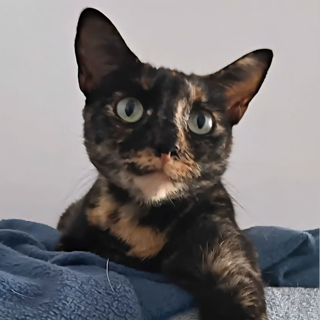 Photo of Elodie